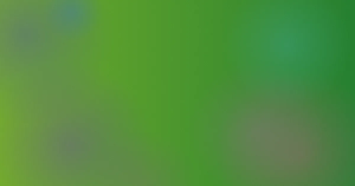 timi推荐：新手怎么选