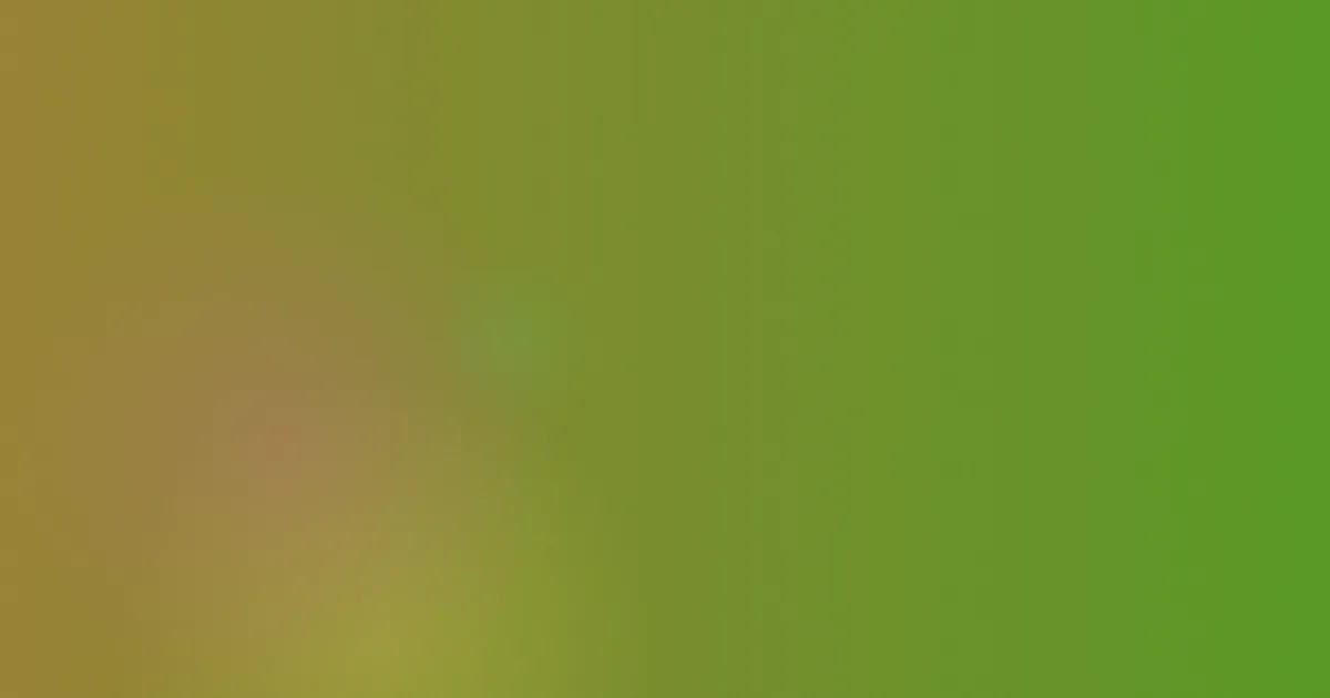 jjzz7怎么用？一套可复现的安全流程